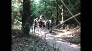 Trisled Mountain Trike 27+ model overview
