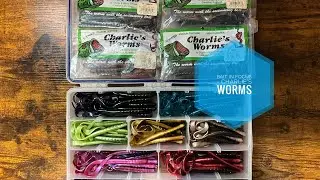 Bait In Focus - Charlie’s Worms