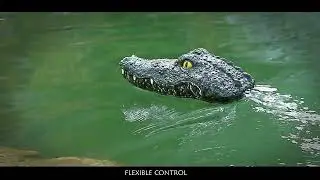 Remote Control Alligator Head Boat Boys