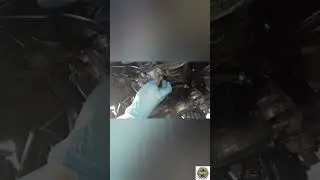sistemo il depressore bella mia jeep
