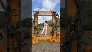 Come with me to the pumpkin patch in London! 🎃