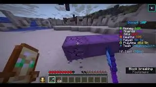 DonutSMP Noob to Pro 0-500k. Very quick for a Noob to Pro.