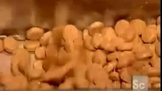 How It`s Made   Dog and Cat Food