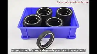 Spring Energized Seals To Use or Not to Use