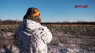 Большая загонная охота. Эпизод 3.