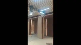 Auditorium Renovation-&ldquo;Electrical Work + VRV Duct AC + Fire System Installation | Complete MEP Work