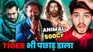 Animal Day 5 Box Office Collection | Animal Box Office Collection | Reaction | Fimi Ustad