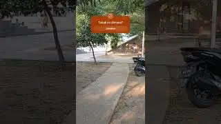 TAMAN BERMAIN