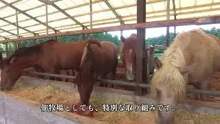 【午年・15セット限定】初屠き馬刺し「馬九行久（うまくいく）セット」－ 佃牧場の原点から届ける特別な一箱 －