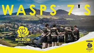 Melrose Wasps Youth 7's | FRIDAY