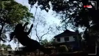 Hill Palace......