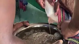 Harvesting Fish Eggs with the Best Belly Squeezing Techniques