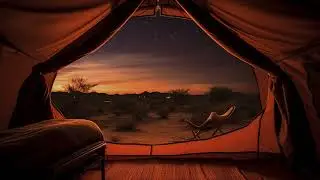 Moonlit Desert Oasis Ambience with Soothing LoFi Music - Study for 2 Hours