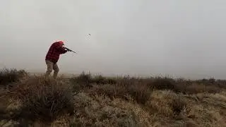 Jump Shooting Ducks| Washington State
