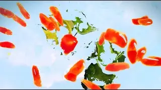 DNMADE Motion Design-Lycée Image et du Son Angoulême|Un Présent Éphémère| Projet de fin d'étude 2025