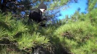 jumping hay bales
