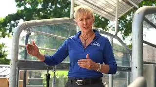 Amazing Features of the HORSE GYM USA® WALK Treadmill