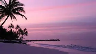 (FREE) Summer, Luciano, tropical type beat - prod. by labe | Summer type beat 2023