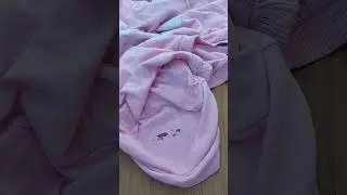 ✅COMO REMOVER MANCHAS DE SANGUE DO TECIDO QUE J&Aacute; SECOU (DICA INCR&Iacute;VEL) #shorts