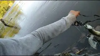 Mancing Sidat Saat Air Keruh, Ternyata Membawa Berkah