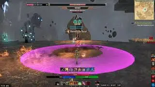 Vateshran Hollows (Vet) Last Boss burn w/ Magblade