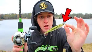 The BEST WINTER Bass Fishing Lures For 2020 (How To Catch Fish)