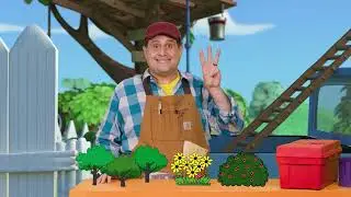 August Week 2 Preschool 2025