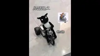 When my boyfriend bought a Shaun the Sheep car
