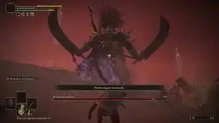 AppleMan VS Radahn
