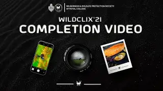 WildClix'21 - Completion