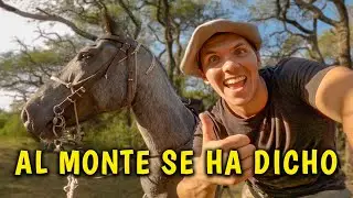 Regreso de la Mora 2: Basta de Preparación, Vamos al Monte - Como No Domar un Caballo