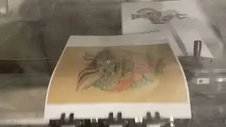 Le tatouage traditionnel Am&eacute;ricain - Alexandra Bay - Livre