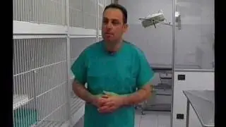 La santé du Carlin