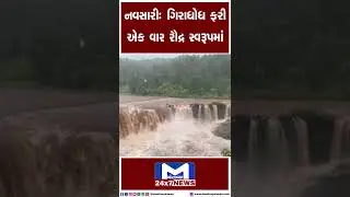 #Navsari | ગિરાધોધ ફરી એક વાર રૌદ્ર સ્વરૂપમાં | MantavyaNews