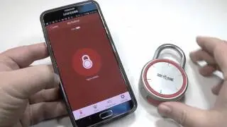 Обзор бесключевого Bluetooth-замка Dog & Bone LockSmart