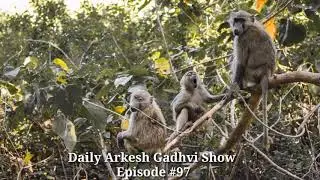 The foolish monkeys - short motivational story | English