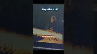 Mega Live 1.170 Tracking Fish #moneybass #megalive