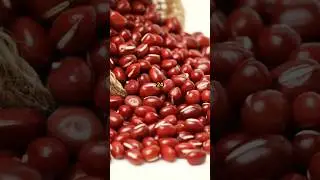 Top five Best Protin Food | #healthytips #healthiswealth #health #healthy #protin