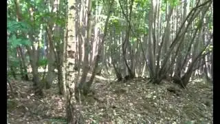 The Alloutdoor1 Bushcraft And Survival Series -  Episode 1 Part 1