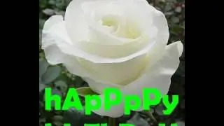 happy birthday song in arabic