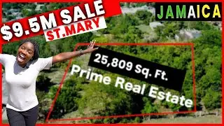 THIS $9,500,000 LAND FOR SALE IN ST.MARY JAMAICA IS THE BEST VALUE FOR MONEY