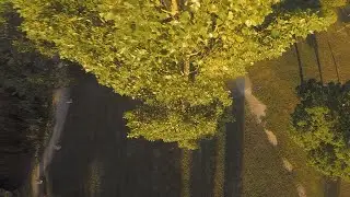 too many loops and touchdowns: FPV Drone Park Freestyle