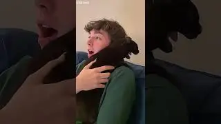 Cat Funny Videos ❤️ funny cats meme 🥰 # #1887