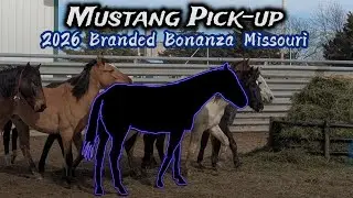 2026 Mustang pick-up • 2026 Branded Bonanza  
