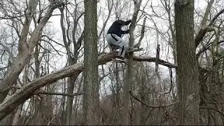 Embshoff Woods 1