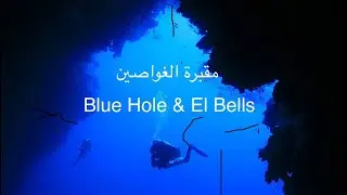 Diving in Blue Hole & El Bells مقبرة الغواصين