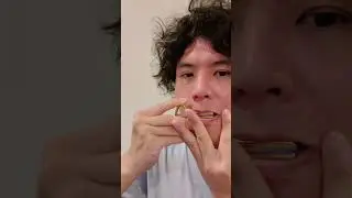 アルタイコムズ &rdquo;オロクトイ&rdquo; (ロシア口琴)  / Altay Komuses Jews harp