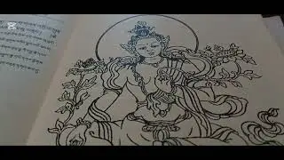 Tara Prayer 🌸 | Compassion and Protection Mantra | Om Tare Tuttare Ture Soha