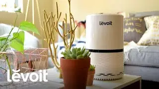 Levoit | Compact True HEPA Air Purifier (LV-H132)