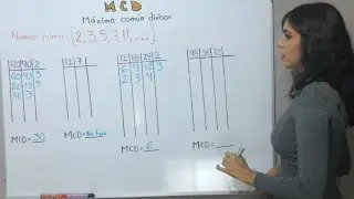 MAXIMO COMUN DIVISOR - MCD
